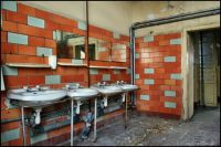 Bild (42)